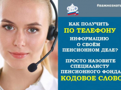 Пенсия по «кодовому слову»: как волжанам получить информацию о выплатах в 2021 году