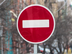 В Волжском перекроют улицы из-за обрезки деревьев