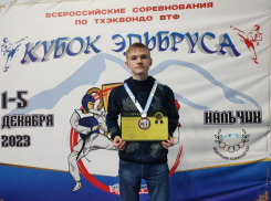 Волжане стали призерами первенства России по тхэквондо