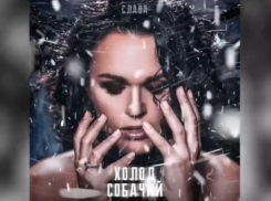 Эксцентричную песню волгоградца «Холод собачий» исполнила популярная певица Слава