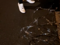 Волжанин попал в плен тюремной проволоки