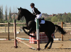 Наездницы Волжского забрали кубки на региональных соревнованиях «Звезда Поволжья»