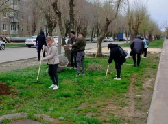 Более 1200 кубометров листвы и мусора вывезли на полигон в Волжском
