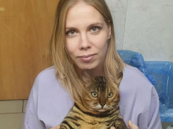 Как извлеченные из собаки трусы стали причиной развода: волжский ветеринар поделился самыми странными историями