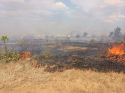 Четыре часа тушат траву на Козьем пляже в Волжском