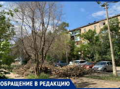 УК не реагирует на сухостои, представляющие угрозу жителям в Волжском