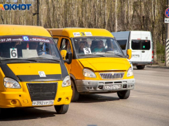 В Волжском подорожал проезд на межмуниципальных маршрутах