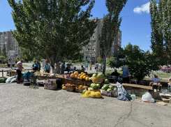 В Волжском снова штрафуют пенсионеров за нелегальную торговлю