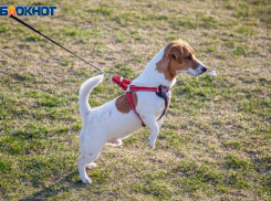 Солнечно и холодно будет на Пасху в Волжском: прогноз погоды