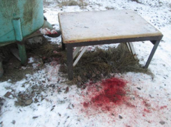 Ущерб суммой более 100 тысяч рублей нанес «псевдоохотник» в Ленинском районе 