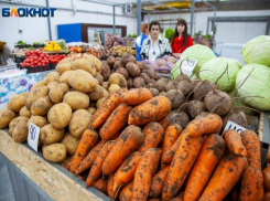В Волжском снова выросли цены на овощи