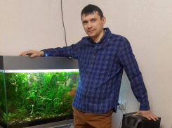 Выращивает инфузорию и креветок: волжанин рассказал о своем необычном хобби 