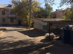 Экзекуцию над слепыми щенятами устроил живодер в Волжском 