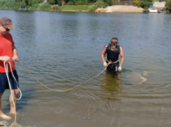 35-летний мужчина утонул на Дону под Волгоградом