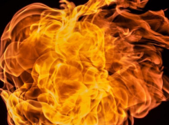 В Волжском СНТ произошел пожар