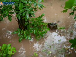 Дождь, гроза и ветер: прогноз погоды на понедельник в Волжском