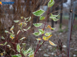 Анна Темная: какие запреты нельзя нарушать и что сулит день