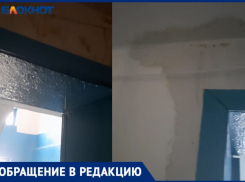 «Вода бежит по проводам и заливает подъезд до 1 этажа»: волжский МКД тонет во время дождя