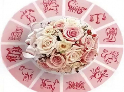 Львов ждет премия, а Девы отправятся к морю