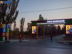 «Мы орали так, что в конце парка было слышно»: волжанка рассказала подробности о нападении