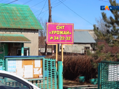 Большинство опрошенных волжан считают, что председателю СНТ «Урожай» давно пора работать открыто с общественностью