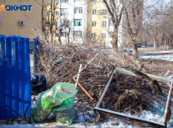 Волжские депутаты одержали победу в борьбе с регоператором по вывозу мусора