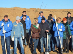 Волжский трубный завод завершил рекультивацию земель полигона промышленных отходов