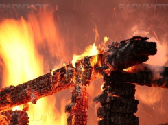 В Волжском огонь уничтожил дачный сарай