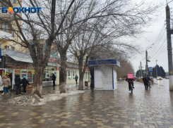 Сухостоя нет: агроном КБиДХ  прокомментировал обращение волжанки