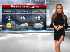 Нежный праздник в жестокую погоду: в Волжском День матери пройдет под эгидой ветров