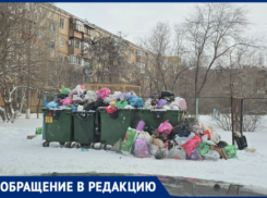 Куда исчезли мусоровозы? В Волжском коммунальная система дала сбой, завалив дворы мусором