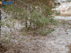 Слабая буря накроет Волжский в четверг