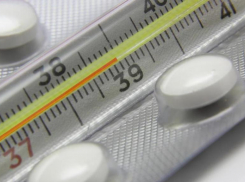 Прививку от гриппа сделали 60% жителей Волгоградской области