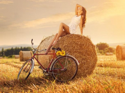 День Самсона Сеногноя будет слегка облачным