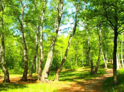 В среду волжане смогут даже загореть, выйдя на улицу