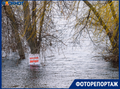 Красоту природы беспощадно уродует человеческая халатность