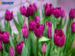 По ощущениям -15 градусов: погода в Волжском