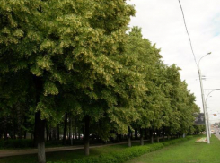 Бизнесмены, среди которых оказались и главные загрязнители города, скинулись на 500 лип в Волжском