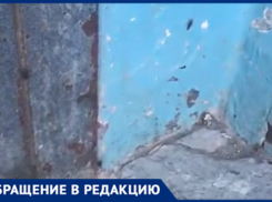 Тараканы захватили целый дом в Волжском: видео
