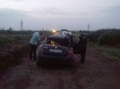 В Михайловке задержан пьяный водитель, угробивший двоих пассажиров