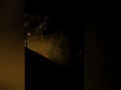 В Волжском неизвестный выкопал яму, захоронив там таинственную коробку: видео