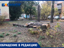 Уже больше месяца не убирают бревна на единственном проходе к дому: жалоба волжан