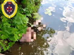 В Волгоградской области нашли тело мужчины в реке Медведице