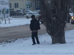 Бездомный Швейцар испражнился на глазах шокированных волжан