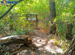 Волжские экоактивисты планируют провести экокемпинг