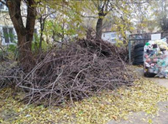 Огромная куча сухих веток создает грязь в Волжском