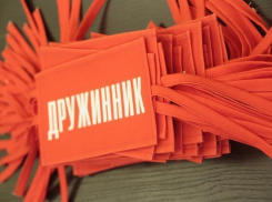 Порядка 40 студентов Волжского стали дружинниками 