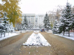 В Волжском изменения в городском генплане не должны затронуть скверы