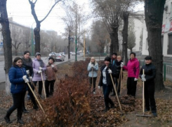 Волжан призывают взять в руки грабли и лопаты