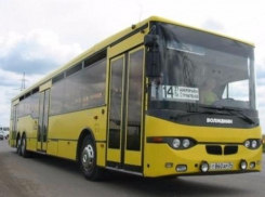 Для волжан в новогоднюю ночь будет работать маршрут №14